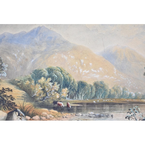 164 - A Framed but Unglazed Watercolour Depicting Highland River Scene with Cattle, 34x23cms