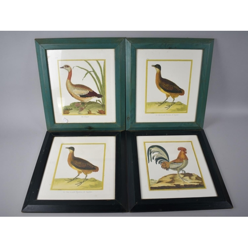 173 - A Set of Four Framed French Bird Plates, Each 21x17cms