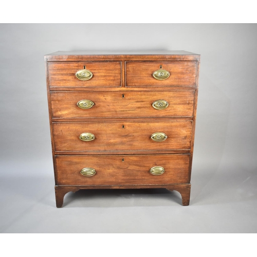 500 - A Mid 19th Century Mahogany Chest of Two Short and Three Long Drawers, Oval Brass Drop Handles, 91.5... 