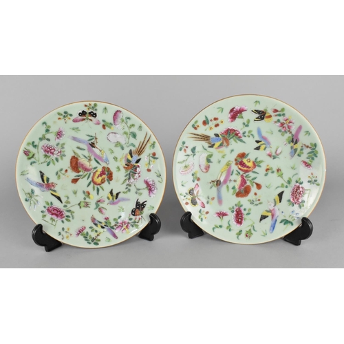 315 - A Pair of Late Qing Dynasty Celadon Glazed Plates Decorated in the Famille Rose Palette with Birds a... 