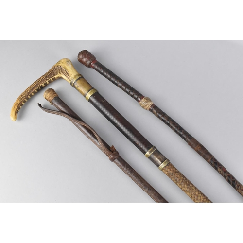 47 - A Vintage Bone Handled Riding Crop and Two Leather Riding Whips, All with Condition issues