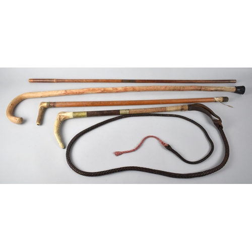 54 - A Collection of Two Bone Handled Crops, Walking Stick and Gun Cleaning Rod