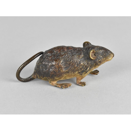 9 - A Late 19th/Early 20th Century Austrian Cold Painted Bronze of a Harvest Mouse, Stamped to Belly