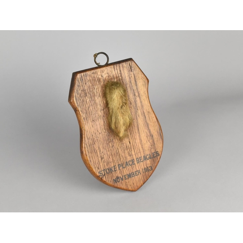 184 - A Vintage Taxidermy Hare's Foot Beagle Hunting Trophy Mounted on Oak Shield, Inscribed 