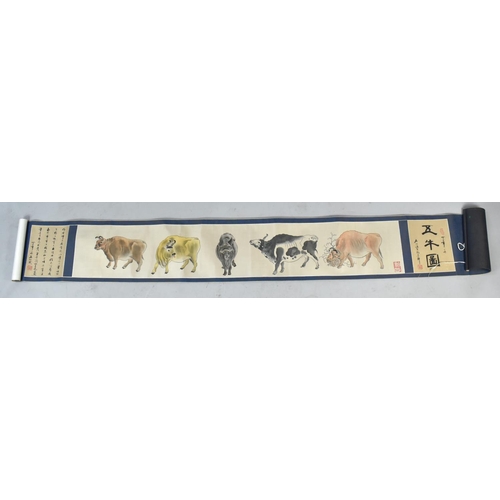 240 - Signed Chinese Scroll Depicting Cattle