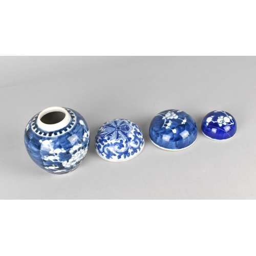 290 - A Chinese Porcelain Blue and White Prunus Pattern Ginger Jar Together with Various Lids (Condition I... 