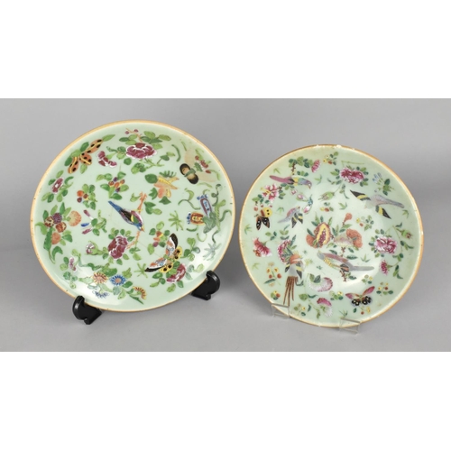 295 - Two Chinese Late Qing Dynasty Plates Decorated in the Famille Rose Palette with Butterflies, Birds a... 