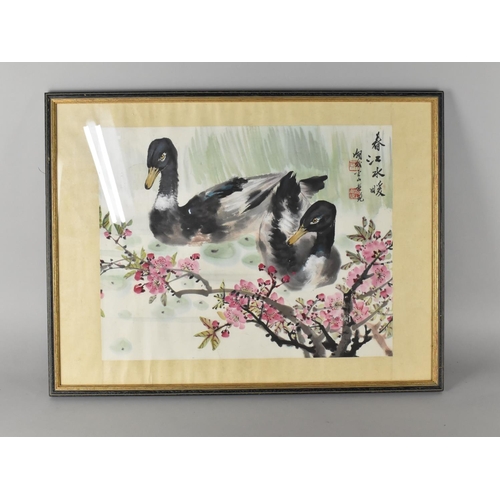 358 - A Chinese Watercolour, Ducks, Subject 42x33.5cm, Framed and Glazed 57x43cm