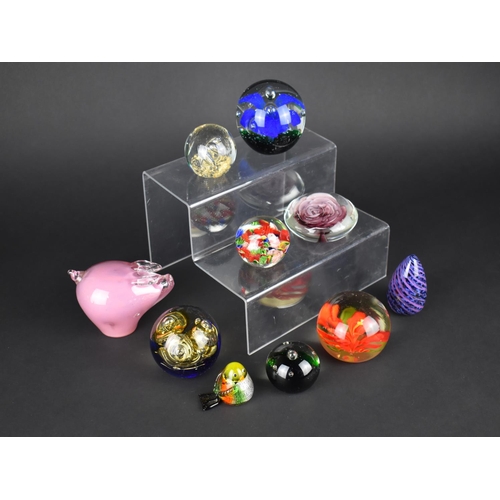 362 - A Collection of Various Coloured Glass Paperweights to Comprise Pig Example etc