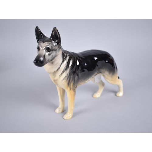 399 - Two Beswick Alsatians, CH Ulrica of Brittas, Matt and Gloss Together with a Beswick Labrador