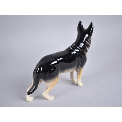 399 - Two Beswick Alsatians, CH Ulrica of Brittas, Matt and Gloss Together with a Beswick Labrador