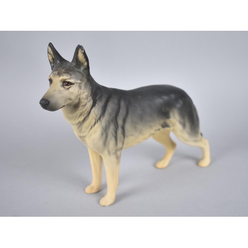 399 - Two Beswick Alsatians, CH Ulrica of Brittas, Matt and Gloss Together with a Beswick Labrador