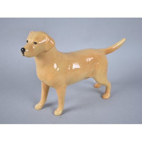 399 - Two Beswick Alsatians, CH Ulrica of Brittas, Matt and Gloss Together with a Beswick Labrador