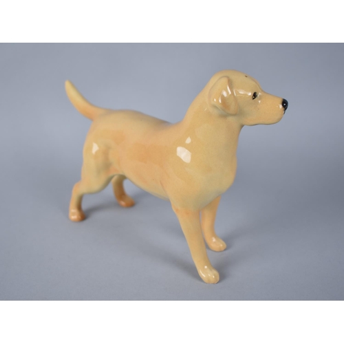 399 - Two Beswick Alsatians, CH Ulrica of Brittas, Matt and Gloss Together with a Beswick Labrador