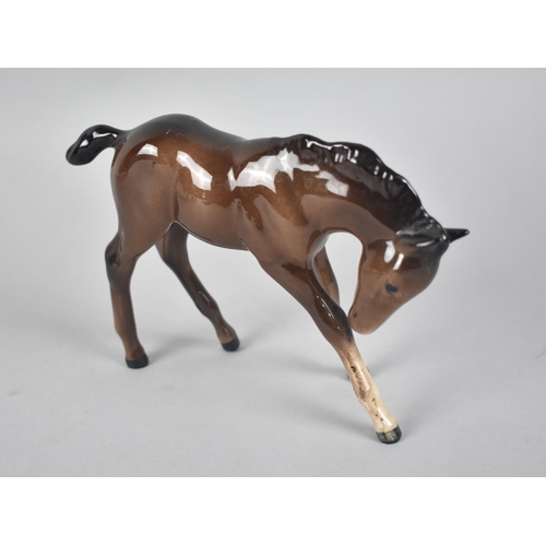 403 - A Beswick Shire Together with a Beswick Foal