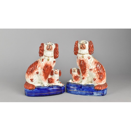 420 - A Pair of 19th Century Staffordshire Spaniels in the Liver Colourway, 18cm high