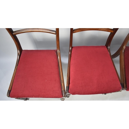 557 - A Set of 19th Century Mahogany Bar Back Dining Chairs with Turned Reeded Front Supports