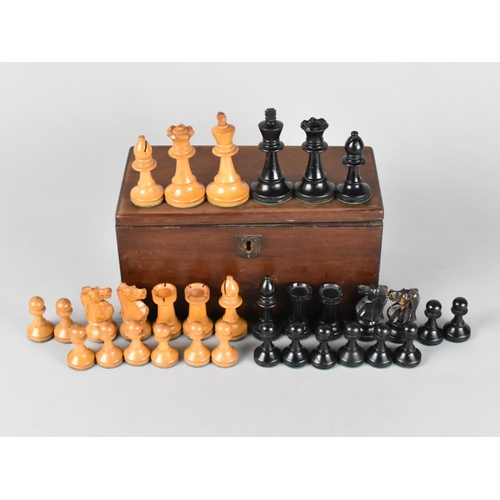 14 - A Staunton Weighted Chess Set, Complete and with Mahogany Box, Kings 7cm High