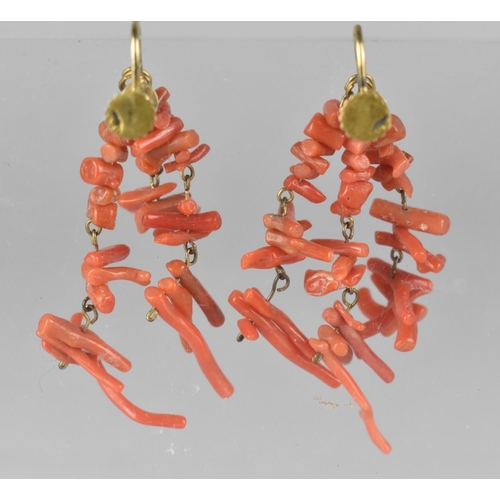 485 - A Pair of Raw Coral and Gold Screw Back Earrings