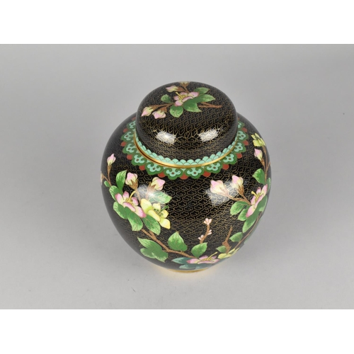 71 - A Cloisonne Enamelled Ginger Jar and Cover with Blossom Decoration on Black Ground, 17cm High