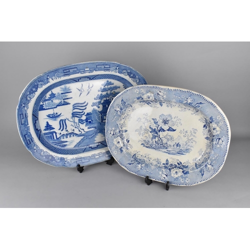 329 - Two 19th Century Transfer Printed Platters, Botanical Beauties and Willow Pattern, 40cm and 49cm