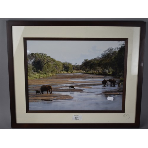 224 - A Framed Photograph Depicting Elephants at Samburu National Park, Kenya