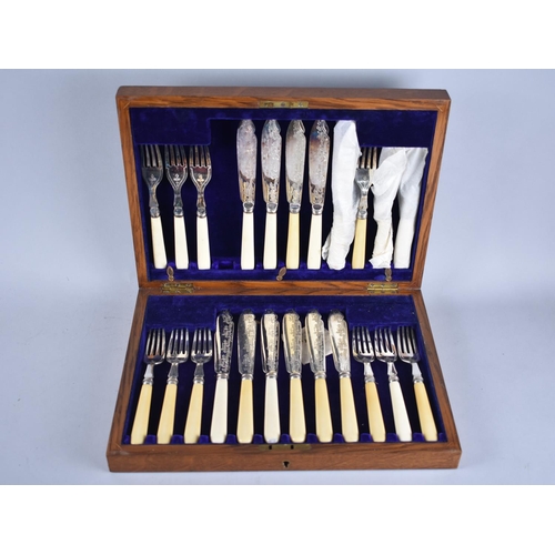 140 - An Edwardian Cased Set of Twelve Silver Banded Fish Forks and Eleven Fish Knives