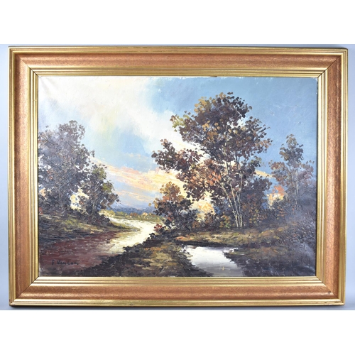 175 - A Modern Gilt Framed Oil on Canvas, Autumn Woodland Scene, 71x50cms