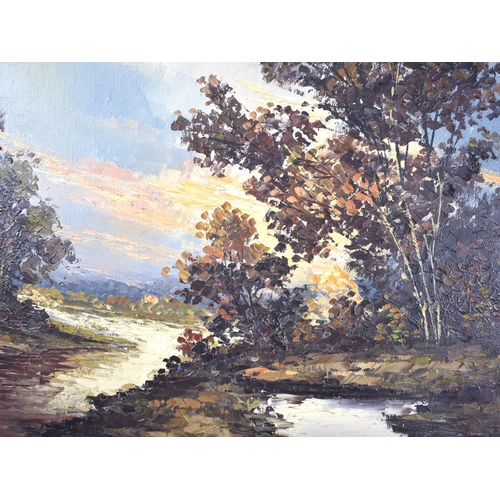 175 - A Modern Gilt Framed Oil on Canvas, Autumn Woodland Scene, 71x50cms