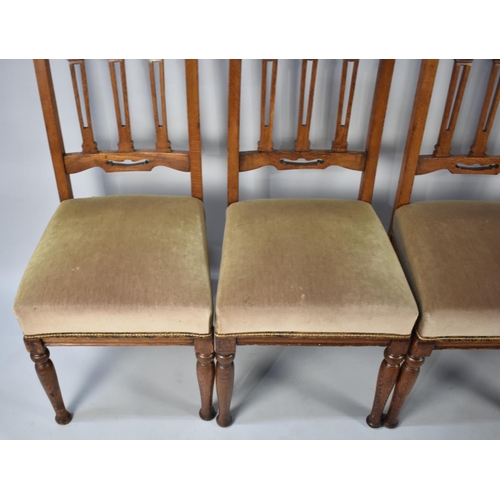 478 - A Set of Four Early 20th Century Oak Framed Dining Chairs