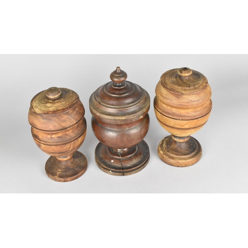 51 - A Pair of Turned Wood Vase and Covers together with a Mahogany Example, 21cms High