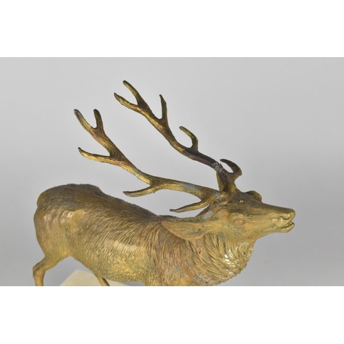 58 - A Bronze Effect Study of a Stag Set on Marble Effect Base, 28cms Wide