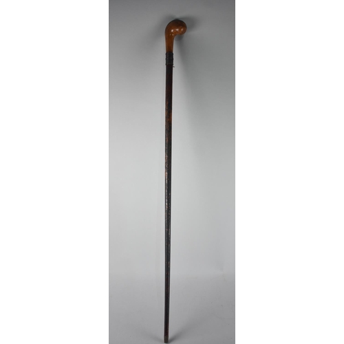 82 - A Vintage Sunday Morning Golf Walking Stick