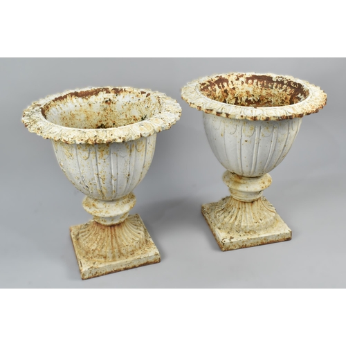 433 - A Pair of Victorian White Painted Cast Iron Garden Urns of Campana Form on Square Bases, 49cm High