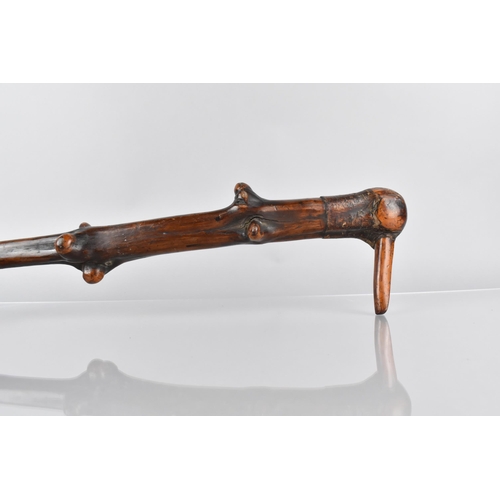 108 - A Late 19th/Early 20th Century Root Wood Walking Stick with Duck Head Handle, 88cm Long