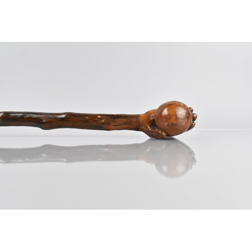 107 - A Late Treen 19th/20th Century Walking Stick, the Handle Modelled in the Form of a Hand Holding a Ba... 