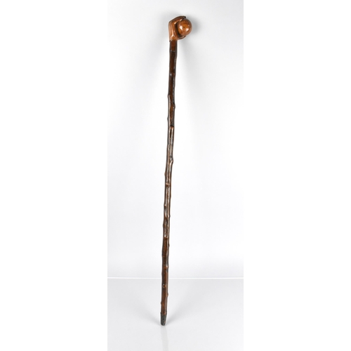 107 - A Late Treen 19th/20th Century Walking Stick, the Handle Modelled in the Form of a Hand Holding a Ba... 