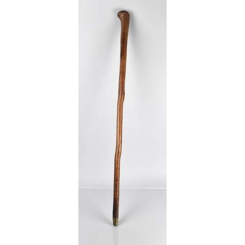 104 - A 19th Century Flick Stick with Brass Mount and Steel Spike, Stick 88 cm Long and Spike 14cm Long