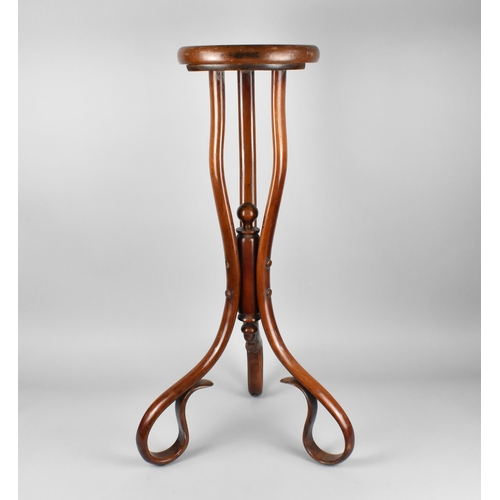 86 - A Late Victorian/Edwardian Bentwood Torchere Stand, 80cm High