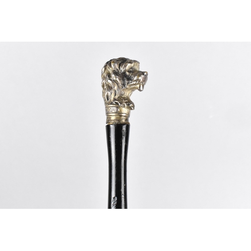 64 - An Early 20th Century Ladies Parasol with Ebonised Handle and White Metal Finial Modelled as a Dogs ... 