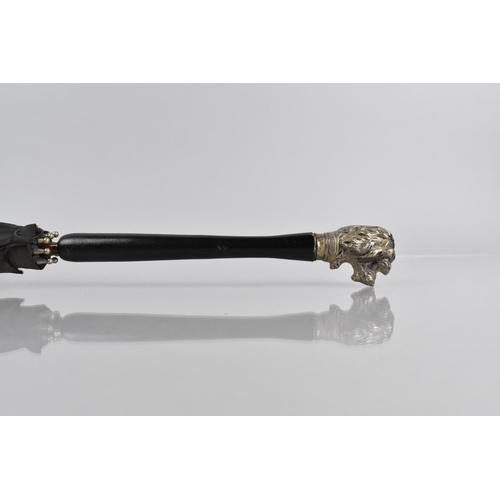 64 - An Early 20th Century Ladies Parasol with Ebonised Handle and White Metal Finial Modelled as a Dogs ... 