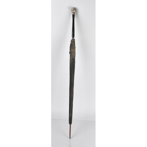 64 - An Early 20th Century Ladies Parasol with Ebonised Handle and White Metal Finial Modelled as a Dogs ... 