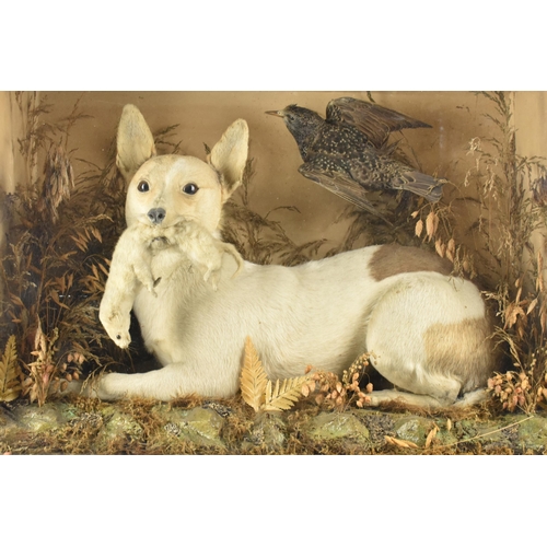 23 - A Cased Early 19th Century Taxidermy Terrier in Recumbent Position with Stoat in Mouth, Set in Natur... 