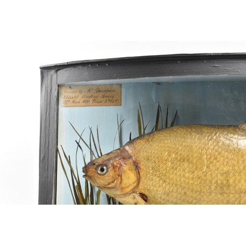 22 - A Cased Victorian Taxidermy Bream with Label Inscribed 'Caught by Mr Bampton Clissold Angling Societ... 