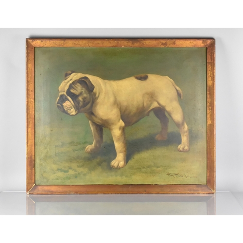 162 - A 20th Century Oil on Canvas, Standing Bulldog Signed Hay Hutchison, Subject 75x60cm Mounted and Fra... 