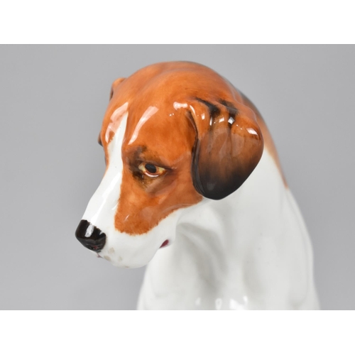 22 - A Royal Worcester Figure of a Seated Foxhound, 18cms High