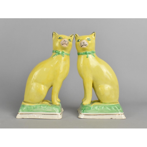 236 - A Pair of Reproduction Staffordshire Seated Cats with Yellow Glaze, 17cms High