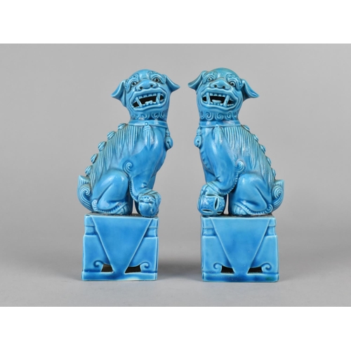 238 - A Pair of Chinese Blue Glazed Seated Dogs with Paws Resting on Pearls, 16cms High