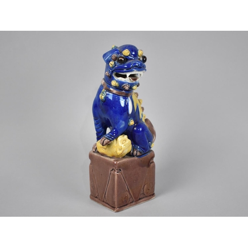 239 - A Glazed Chinese Porcelain Study of Seated Temple Lion, 21.5cms High