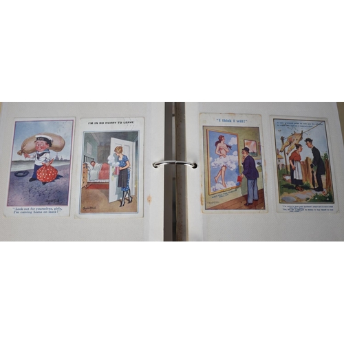 256 - A Ring Binder Containing Large Quantity of Edwardian Seaside and Humorous Postcards, Approx 300